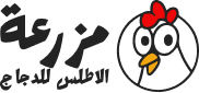 مزرعة الاطلس للدجاج وتربية الدجاج :